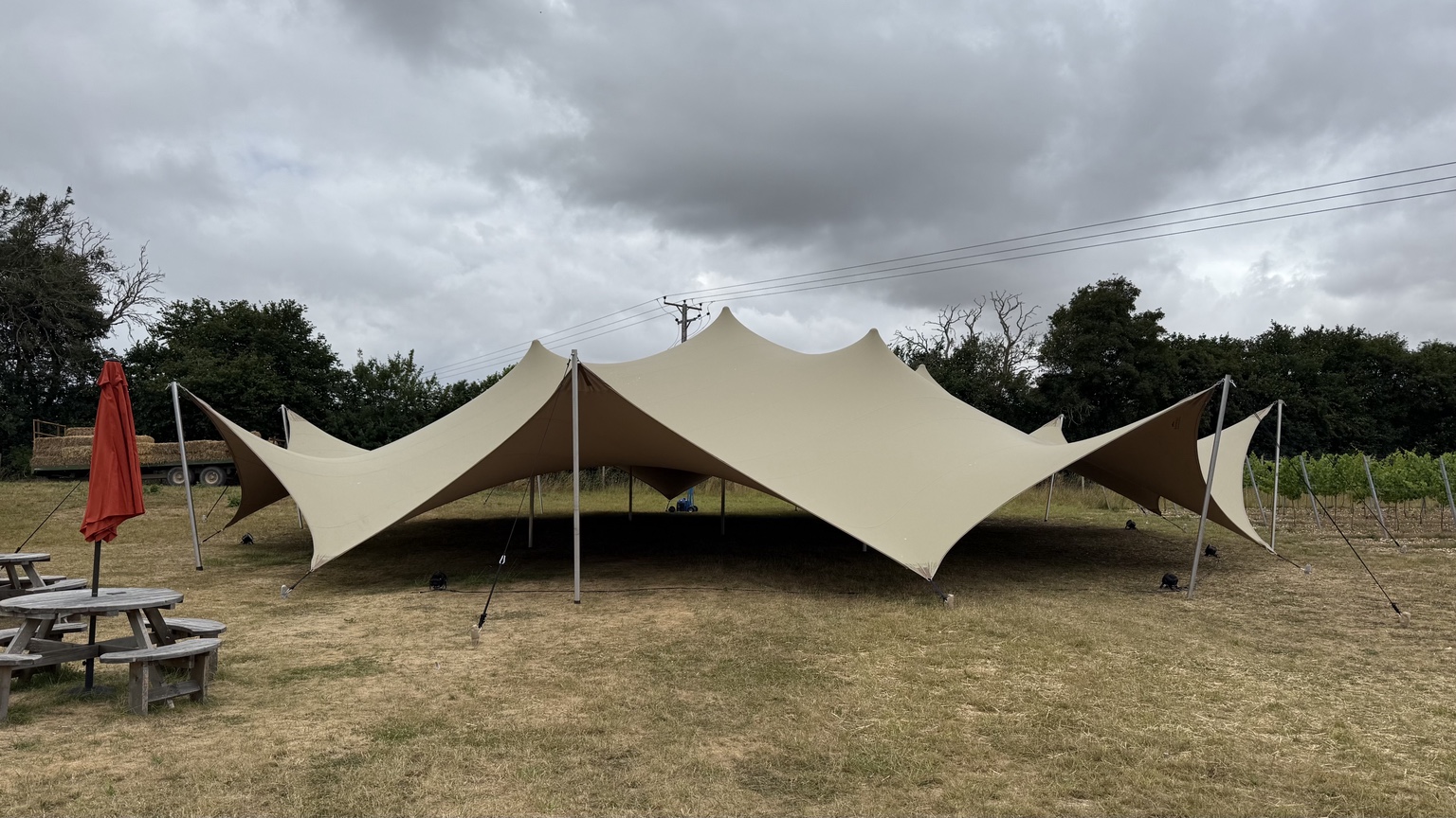 Stretch tent in a landscaped garden
